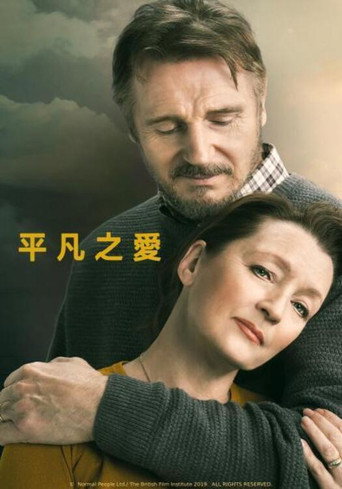 爱在人间海报