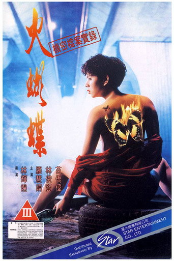 机密档案实录火蝴蝶海报