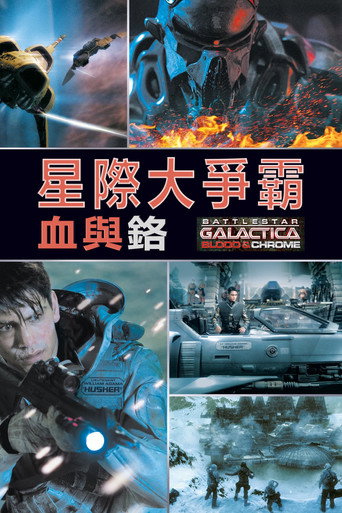 太空堡垒卡拉狄加：血与铬海报