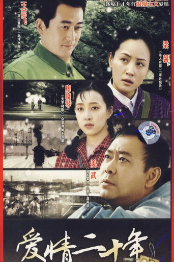 爱情二十年海报