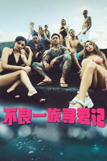 不良一族寻爱记海报