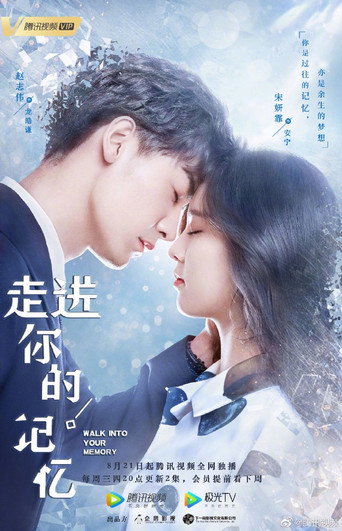 走进你的记忆海报