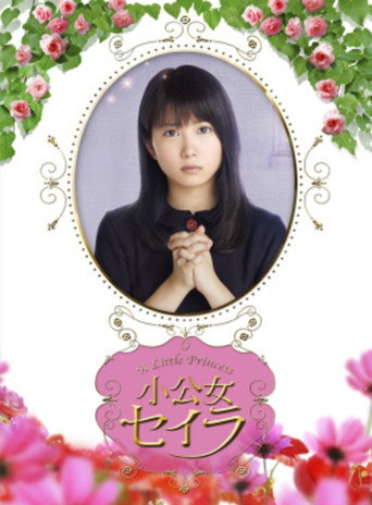 莎拉公主海报