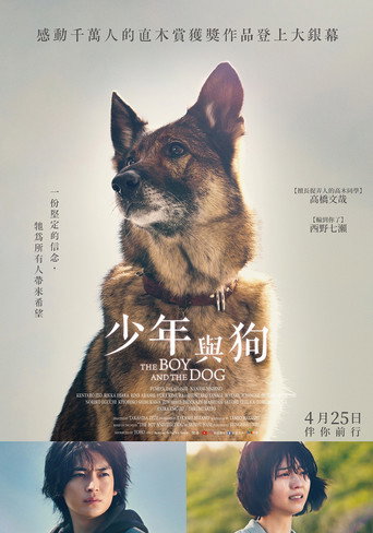 少年与犬海报