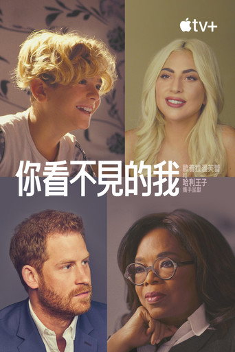 你看不见的我海报