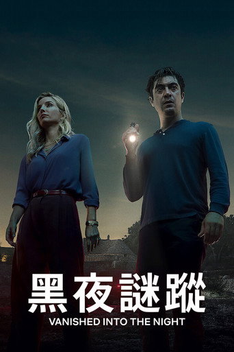 黑夜谜踪海报
