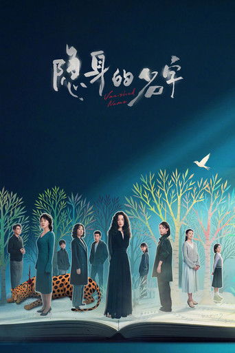 隐身的名字海报
