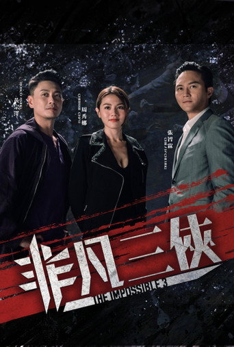 非凡三侠海报