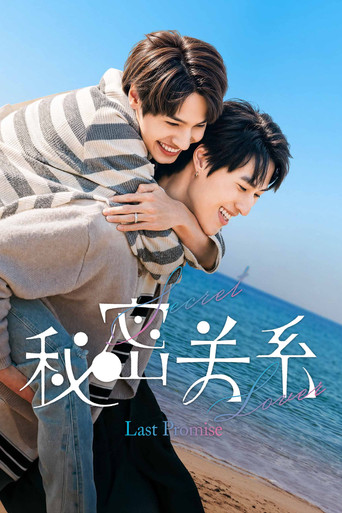 秘密关系：最后的约束海报