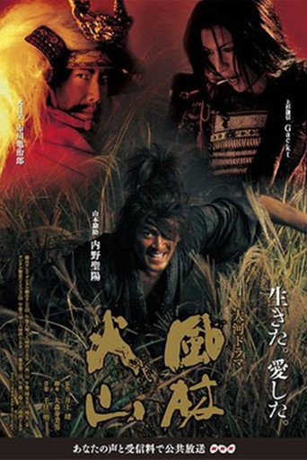 风林火山海报