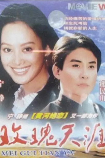 玫瑰天涯海报