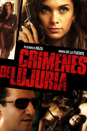 激情之罪海报