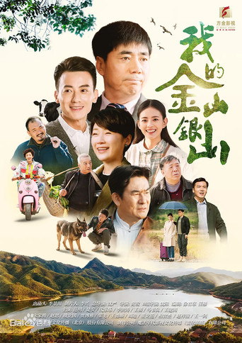 我的金山银山海报