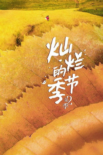 灿烂的季节 第 2 季海报