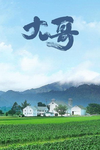 大哥海报