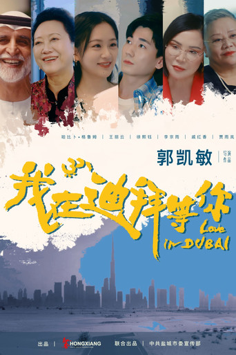 我在迪拜等你海报