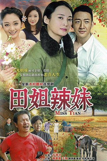 田姐辣妹海报
