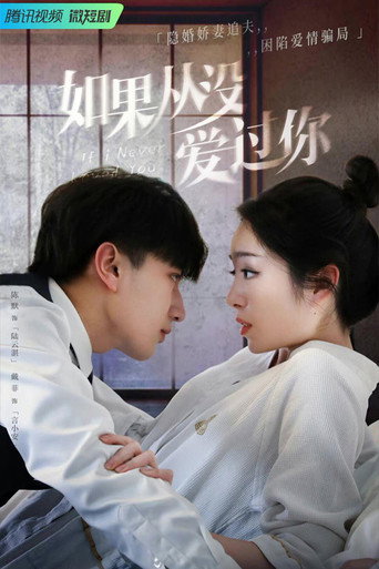 如果从没爱过你海报