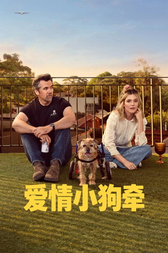 爱情小狗牵海报