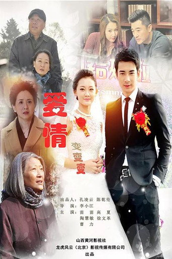 爱情变变变海报