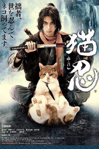 猫忍海报