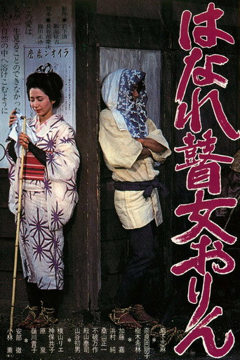 孤苦盲女阿玲海报