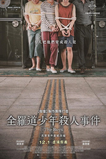 少年们海报