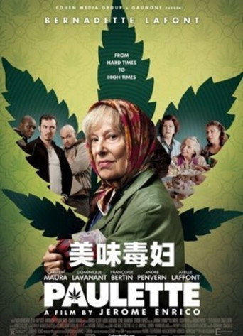 美味毒妇海报