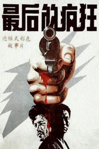 最后的疯狂海报