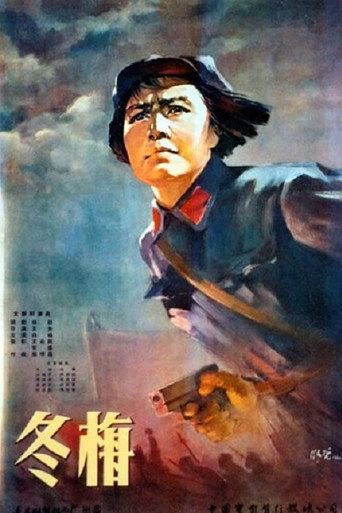 冬梅海报
