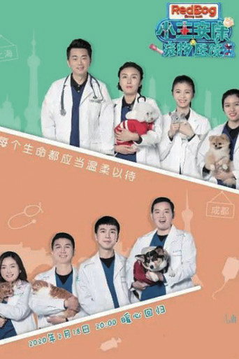 宠物医院 第 2 季海报