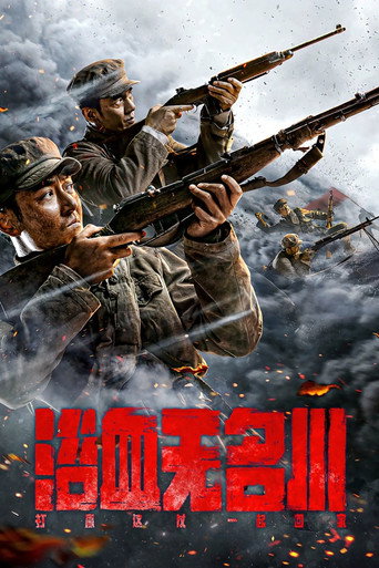 浴血无名川海报