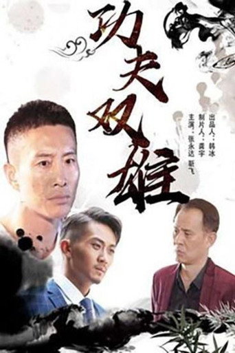 功夫双雄海报