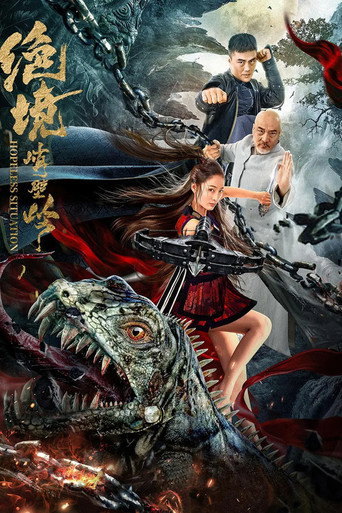 武神苏乞儿之黄金海盗海报