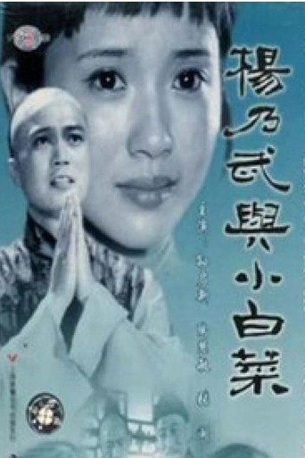 杨乃武与小白菜海报