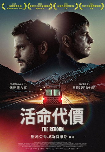 越境重生海报