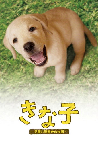 实习警犬物语海报