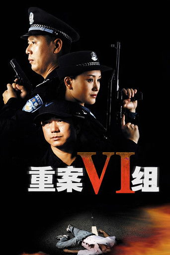 重案六组海报