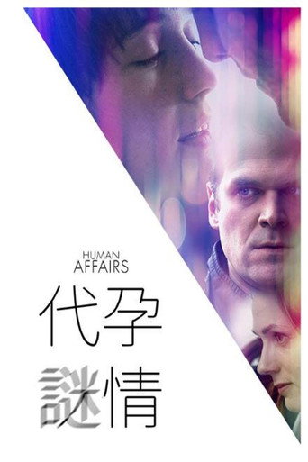 爱人孕事海报