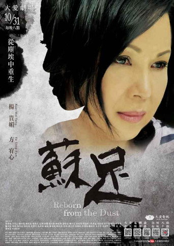 苏足海报