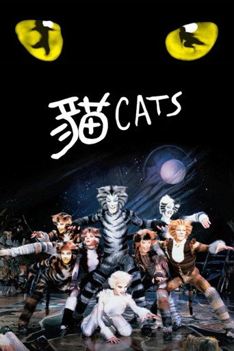 猫海报
