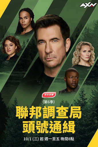 联邦调查局：通缉要犯 第 6 季海报