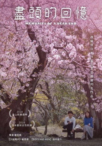 尽头的回忆海报