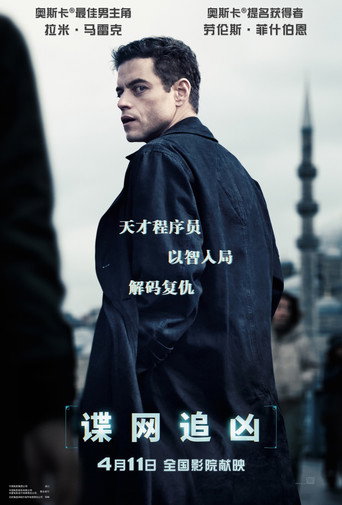 谍网追凶海报