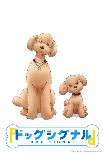 爱犬指令海报