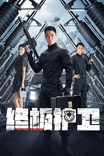 终极护卫海报