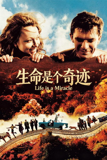 生命是个奇迹海报