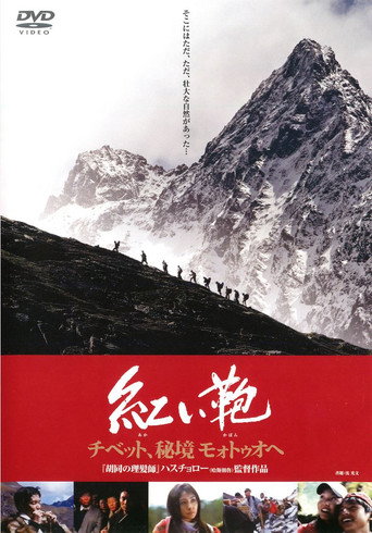 心跳墨脱海报