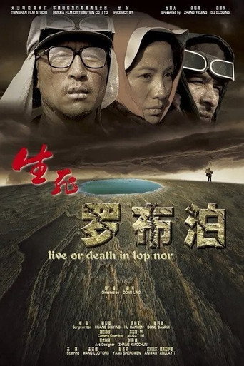 生死罗布泊海报