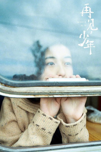 再见，少年海报